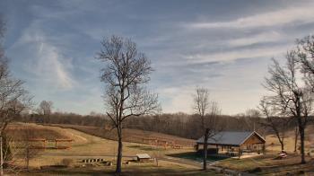 Weather camera view of Dodon Vineyards.
