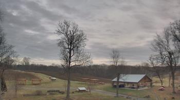Weather camera view of Dodon Vineyards.