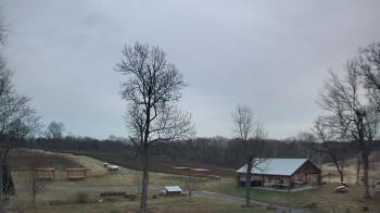 Weather camera view of Dodon Vineyards.