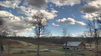 Weather camera view of Dodon Vineyards.