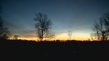 Weather camera view of Dodon Vineyards.