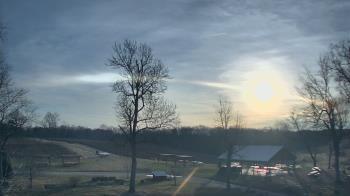 Weather camera view of Dodon Vineyards.