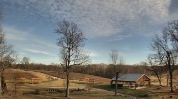 Weather camera view of Dodon Vineyards.