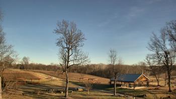 Weather camera view of Dodon Vineyards.