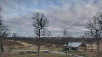 Weather camera view of Dodon Vineyards.