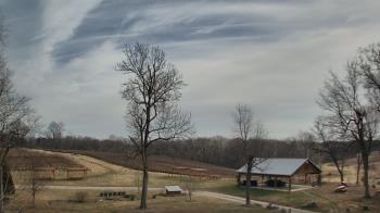 Weather camera view of Dodon Vineyards.