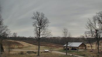 Weather camera view of Dodon Vineyards.