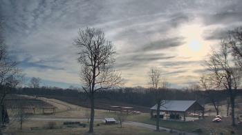 Weather camera view of Dodon Vineyards.