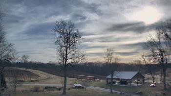 Weather camera view of Dodon Vineyards.