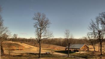 Weather camera view of Dodon Vineyards.