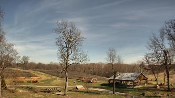 Weather camera view of Dodon Vineyards.