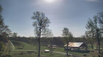 Weather camera view of Dodon Vineyards.