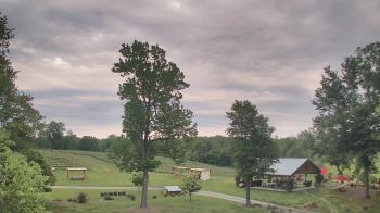 Weather camera view of Dodon Vineyards.