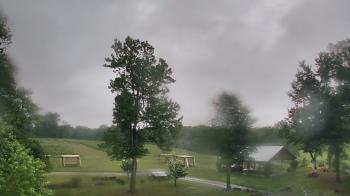 Weather camera view of Dodon Vineyards.