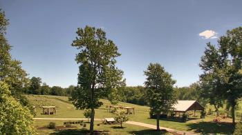Weather camera view of Dodon Vineyards.