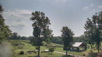 Weather camera view of Dodon Vineyards.