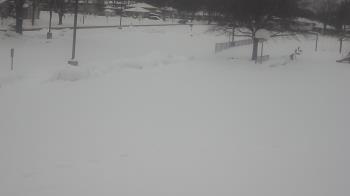 Weather camera view of Terrace Elementary School.