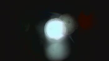 Weather camera view of Dupree School.