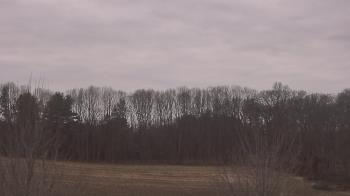 Weather camera view of Mary of Nazareth School.