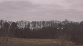 Weather camera view of Mary of Nazareth School.