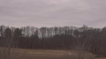 Weather camera view of Mary of Nazareth School.