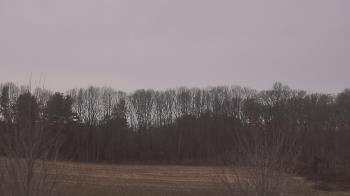 Weather camera view of Mary of Nazareth School.