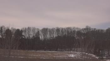 Weather camera view of Mary of Nazareth School.