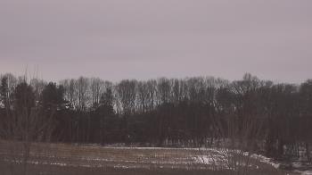 Weather camera view of Mary of Nazareth School.