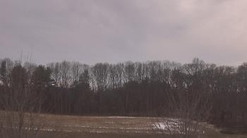 Weather camera view of Mary of Nazareth School.