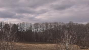 Weather camera view of Mary of Nazareth School.