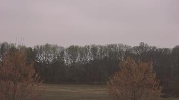 Weather camera view of Mary of Nazareth School.