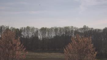 Weather camera view of Mary of Nazareth School.