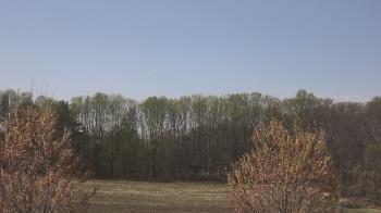 Weather camera view of Mary of Nazareth School.