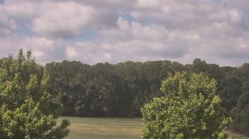 Weather camera view of Mary of Nazareth School.