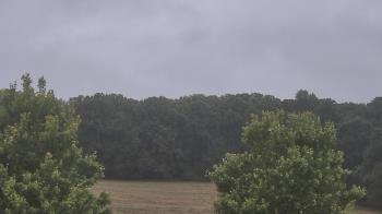 Weather camera view of Mary of Nazareth School.