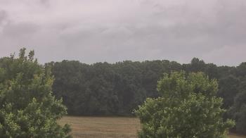 Weather camera view of Mary of Nazareth School.
