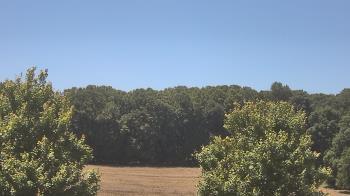Weather camera view of Mary of Nazareth School.