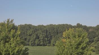 Weather camera view of Mary of Nazareth School.
