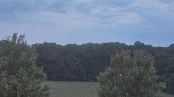 Weather camera view of Mary of Nazareth School.