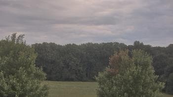Weather camera view of Mary of Nazareth School.