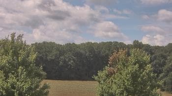 Weather camera view of Mary of Nazareth School.