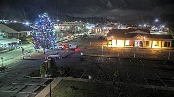 Weather camera view of Erwin Town Hall.