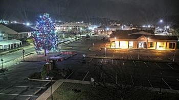 Weather camera view of Erwin Town Hall.