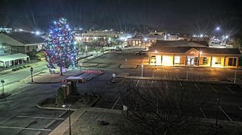 Weather camera view of Erwin Town Hall.