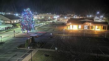 Weather camera view of Erwin Town Hall.