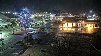 Weather camera view of Erwin Town Hall.