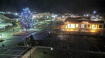 Weather camera view of Erwin Town Hall.