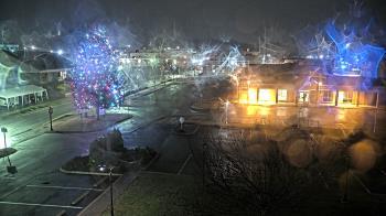Weather camera view of Erwin Town Hall.