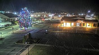 Weather camera view of Erwin Town Hall.