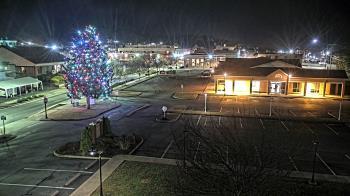Weather camera view of Erwin Town Hall.